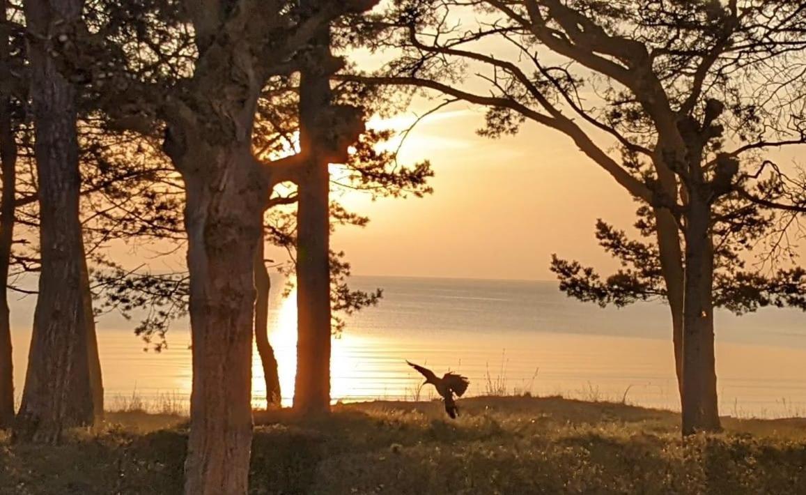 Villa Gudrun By Unsere Urlaubszeit Binz Eksteriør bilde